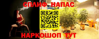 ПСИЛОЦИБИНОВЫЕ ГРИБЫ Тула