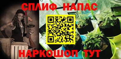 крисы Тулун