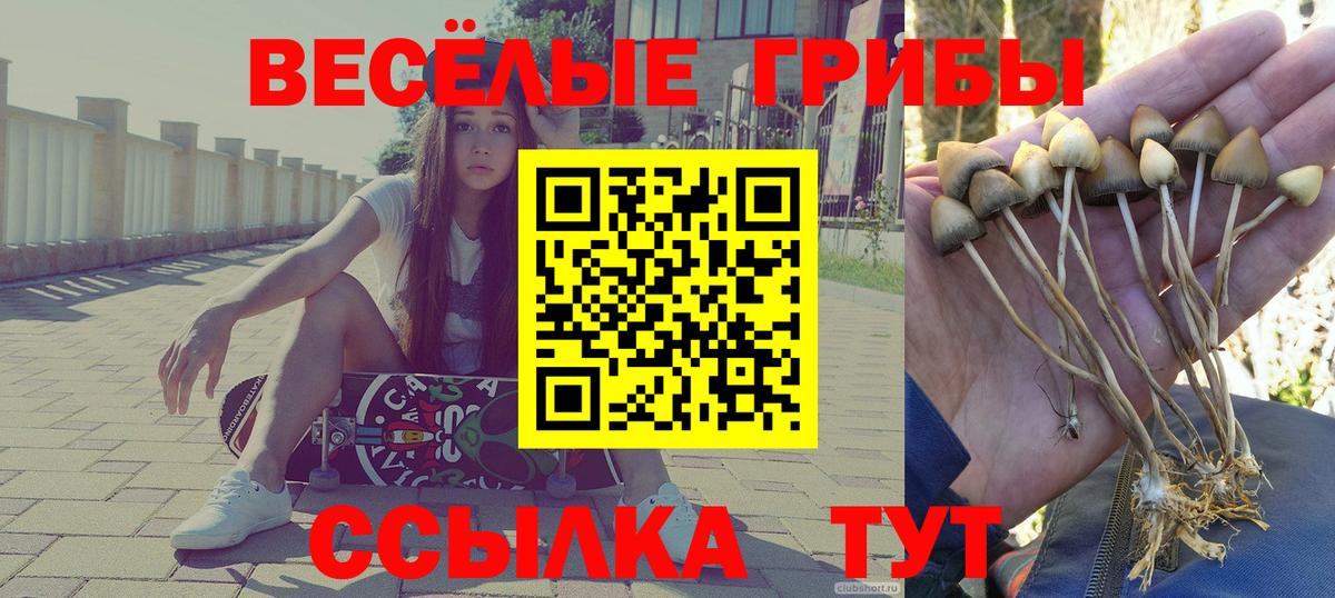 Набережные Челны  Псилоцибиновые грибы прущие грибы  Вход с VPN 