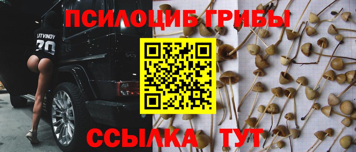 Псилоцибиновые грибы GOLDEN TEACHER Набережные Челны